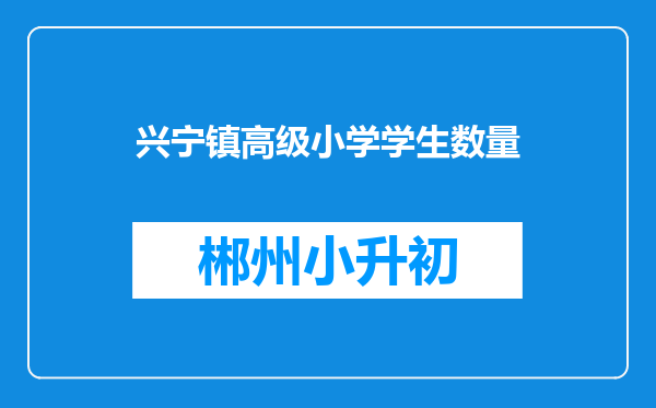 兴宁镇高级小学学生数量