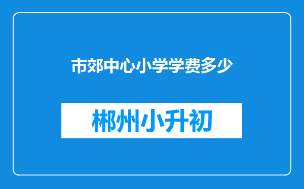 市郊中心小学学费多少