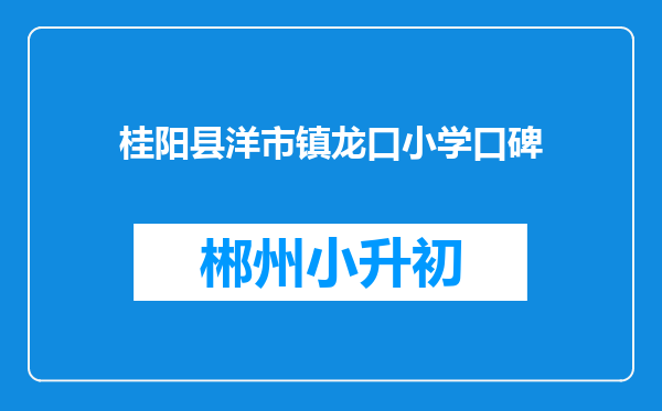 桂阳县洋市镇龙口小学口碑