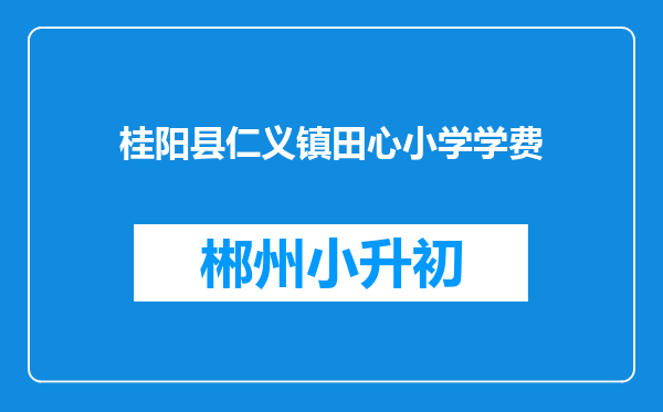 桂阳县仁义镇田心小学学费