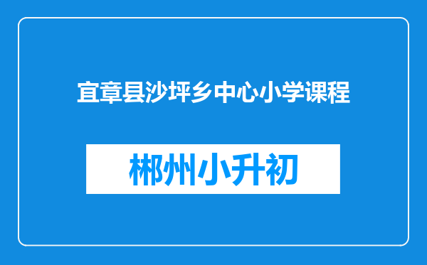 宜章县沙坪乡中心小学课程