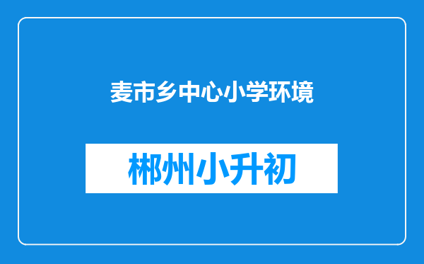 麦市乡中心小学环境