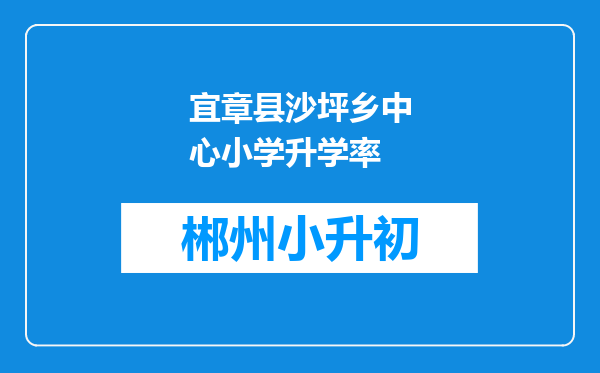 宜章县沙坪乡中心小学升学率