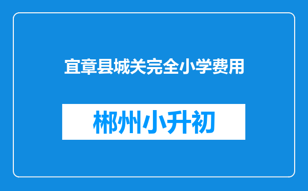 宜章县城关完全小学费用