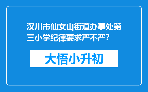 汉川市仙女山街道办事处第三小学纪律要求严不严？