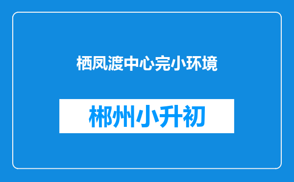 栖凤渡中心完小环境