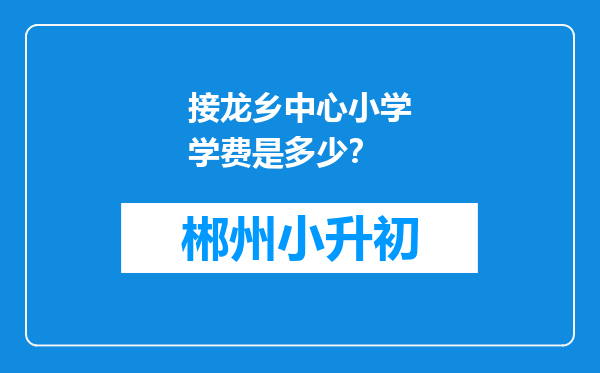 接龙乡中心小学学费是多少？