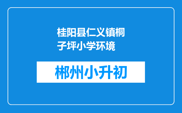 桂阳县仁义镇桐子坪小学环境