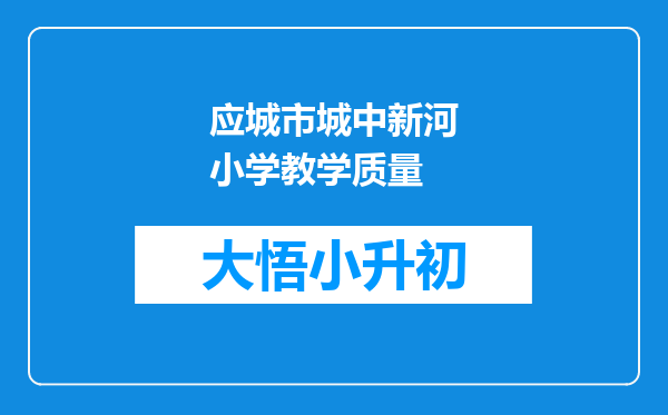 应城市城中新河小学教学质量