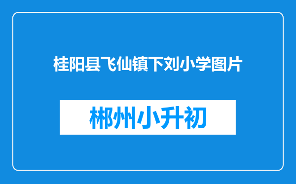 桂阳县飞仙镇下刘小学图片