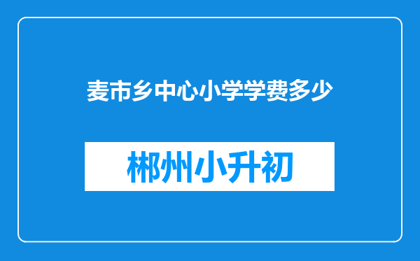 麦市乡中心小学学费多少