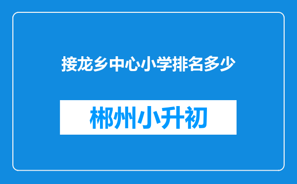 接龙乡中心小学排名多少