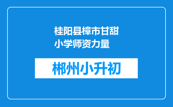 桂阳县樟市甘甜小学师资力量