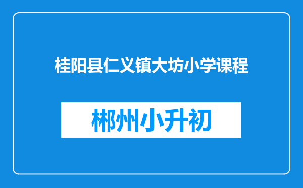 桂阳县仁义镇大坊小学课程