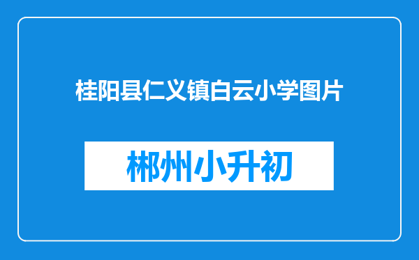 桂阳县仁义镇白云小学图片