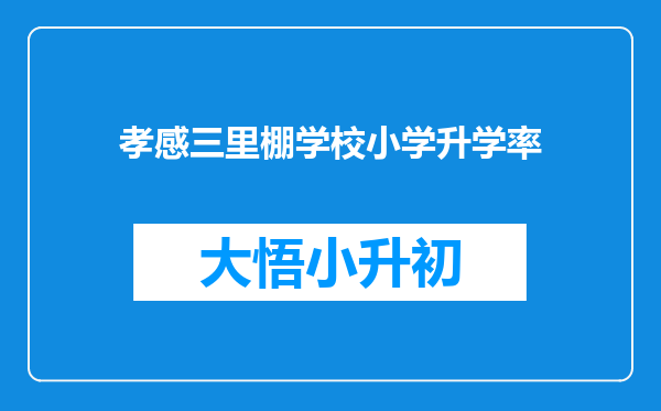 孝感三里棚学校小学升学率