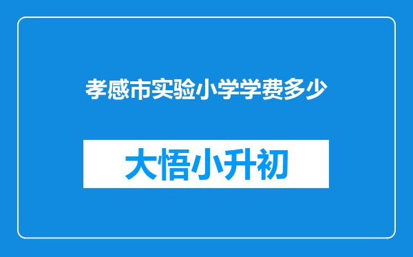 孝感市实验小学学费多少