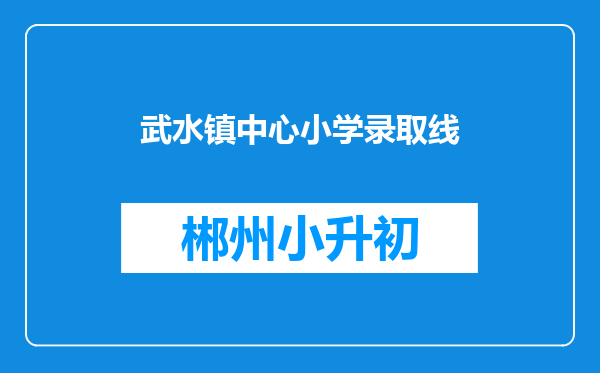 武水镇中心小学录取线