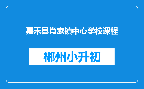 嘉禾县肖家镇中心学校课程