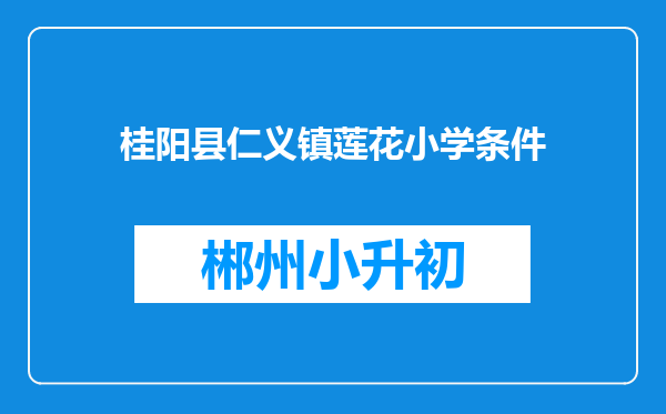 桂阳县仁义镇莲花小学条件