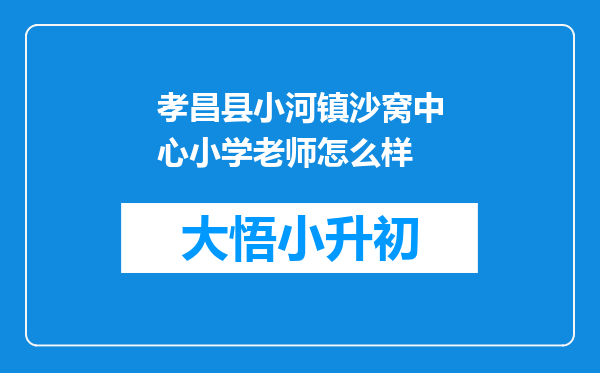 孝昌县小河镇沙窝中心小学老师怎么样