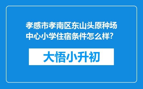 孝感市孝南区东山头原种场中心小学住宿条件怎么样？