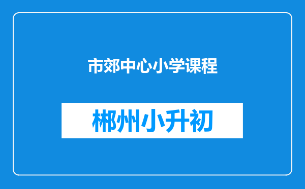 市郊中心小学课程