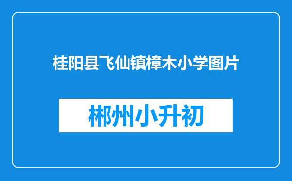 桂阳县飞仙镇樟木小学图片