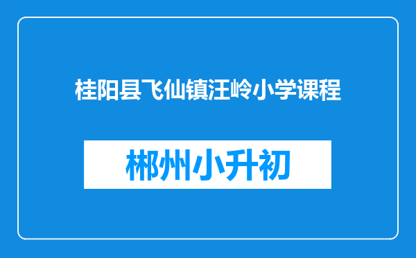 桂阳县飞仙镇汪岭小学课程