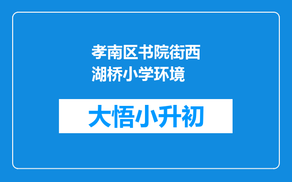 孝南区书院街西湖桥小学环境