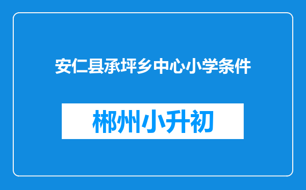 安仁县承坪乡中心小学条件