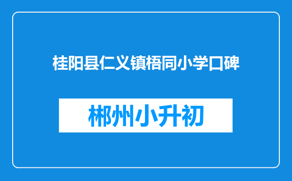 桂阳县仁义镇梧同小学口碑