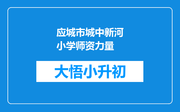 应城市城中新河小学师资力量