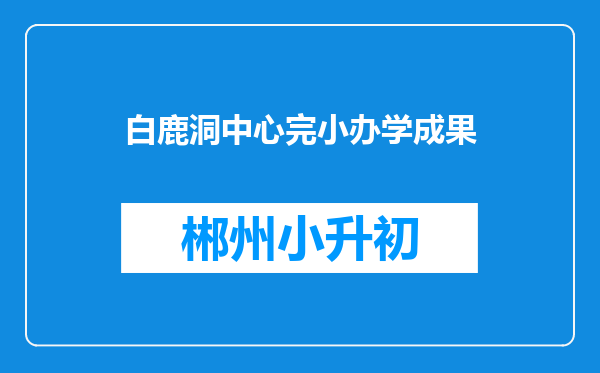 白鹿洞中心完小办学成果