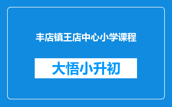 丰店镇王店中心小学课程