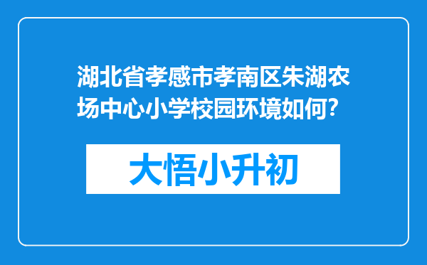 湖北省孝感市孝南区朱湖农场中心小学校园环境如何？