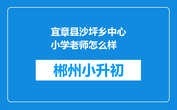 宜章县沙坪乡中心小学老师怎么样