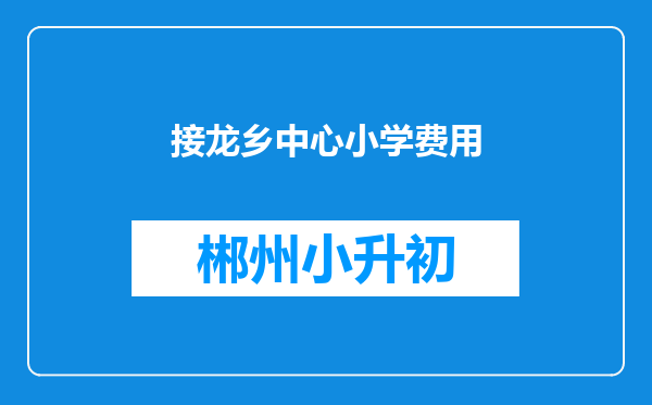 接龙乡中心小学费用