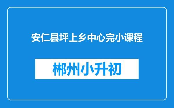 安仁县坪上乡中心完小课程