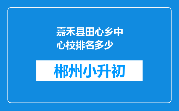 嘉禾县田心乡中心校排名多少