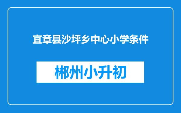 宜章县沙坪乡中心小学条件