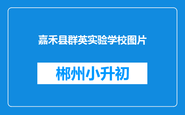 嘉禾县群英实验学校图片