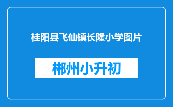 桂阳县飞仙镇长隆小学图片