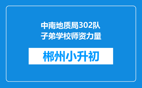 中南地质局302队子弟学校师资力量