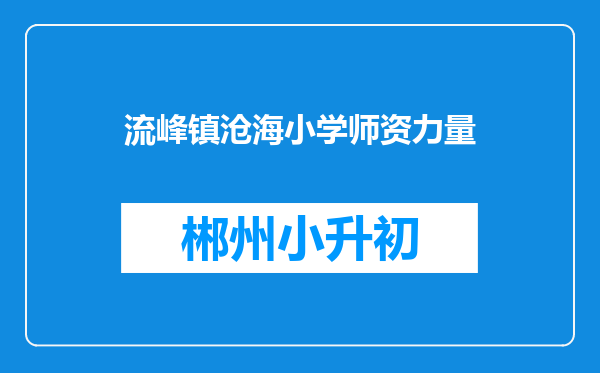 流峰镇沧海小学师资力量