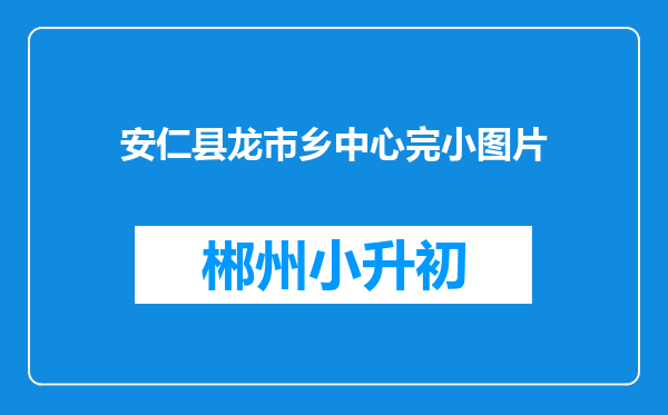 安仁县龙市乡中心完小图片