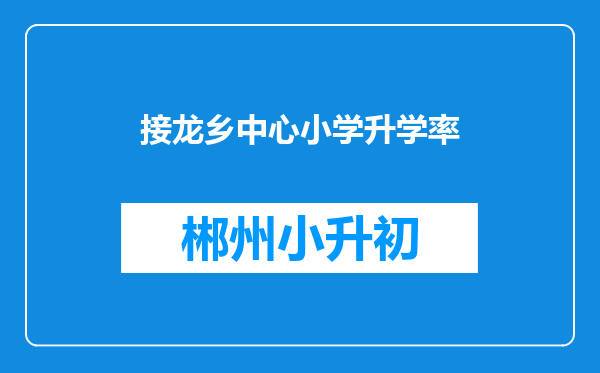 接龙乡中心小学升学率