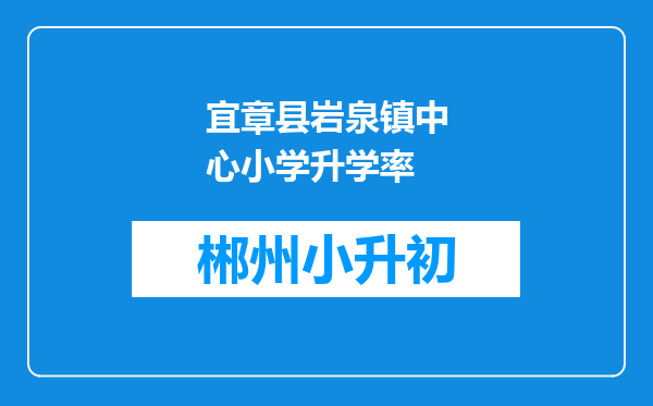 宜章县岩泉镇中心小学升学率