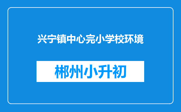 兴宁镇中心完小学校环境