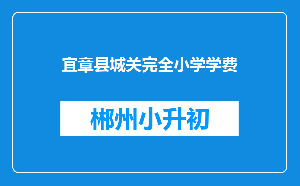 宜章县城关完全小学学费